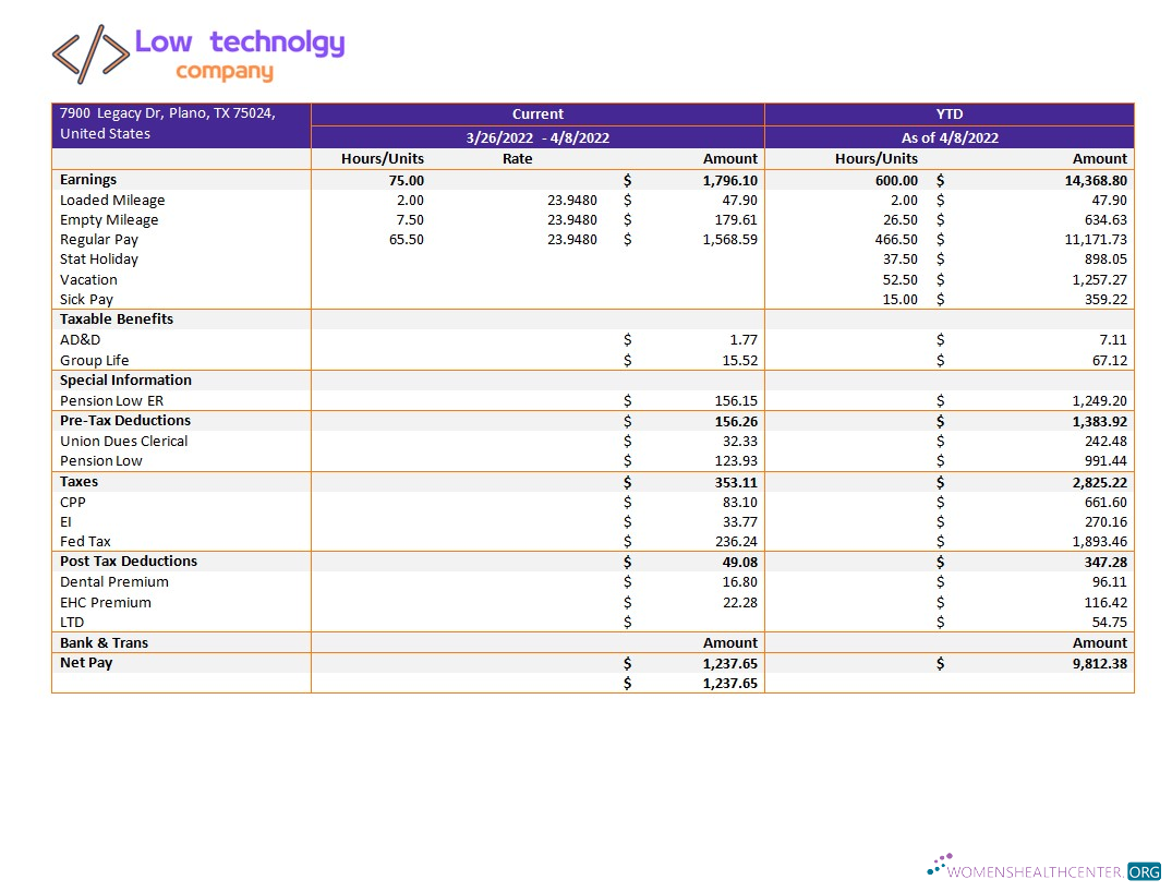 Download low technology company paystub template in Word and PDF formats Photoshop template